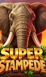 Super Stampede